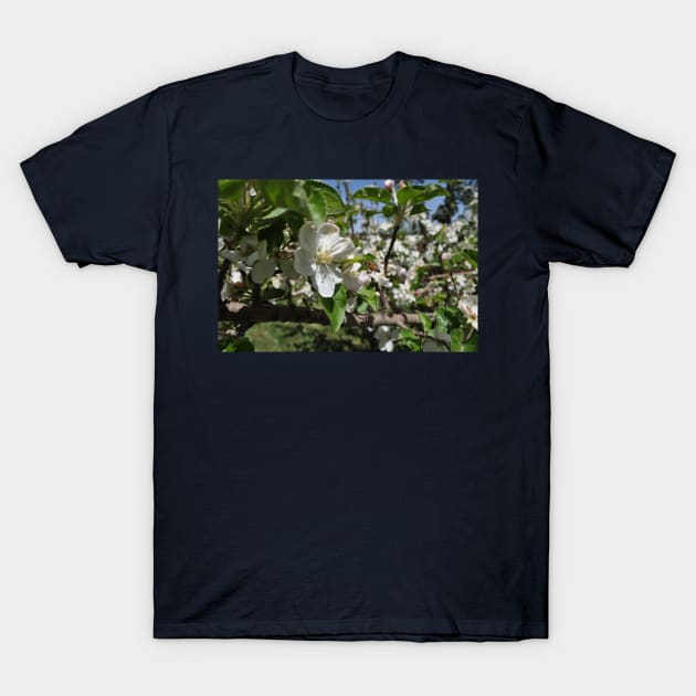 Bee on a flower T-Shirt by gdb2